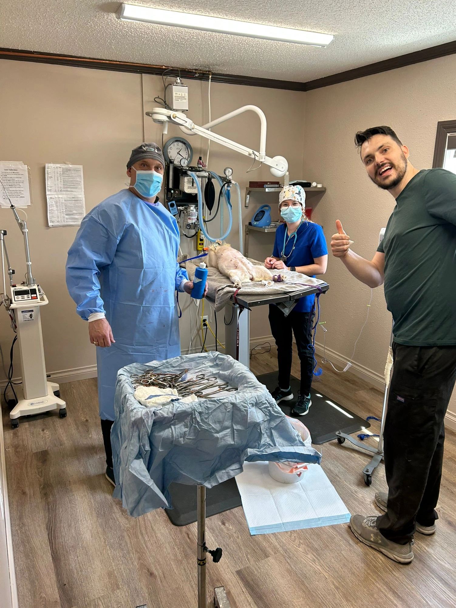 Surgical team at work
