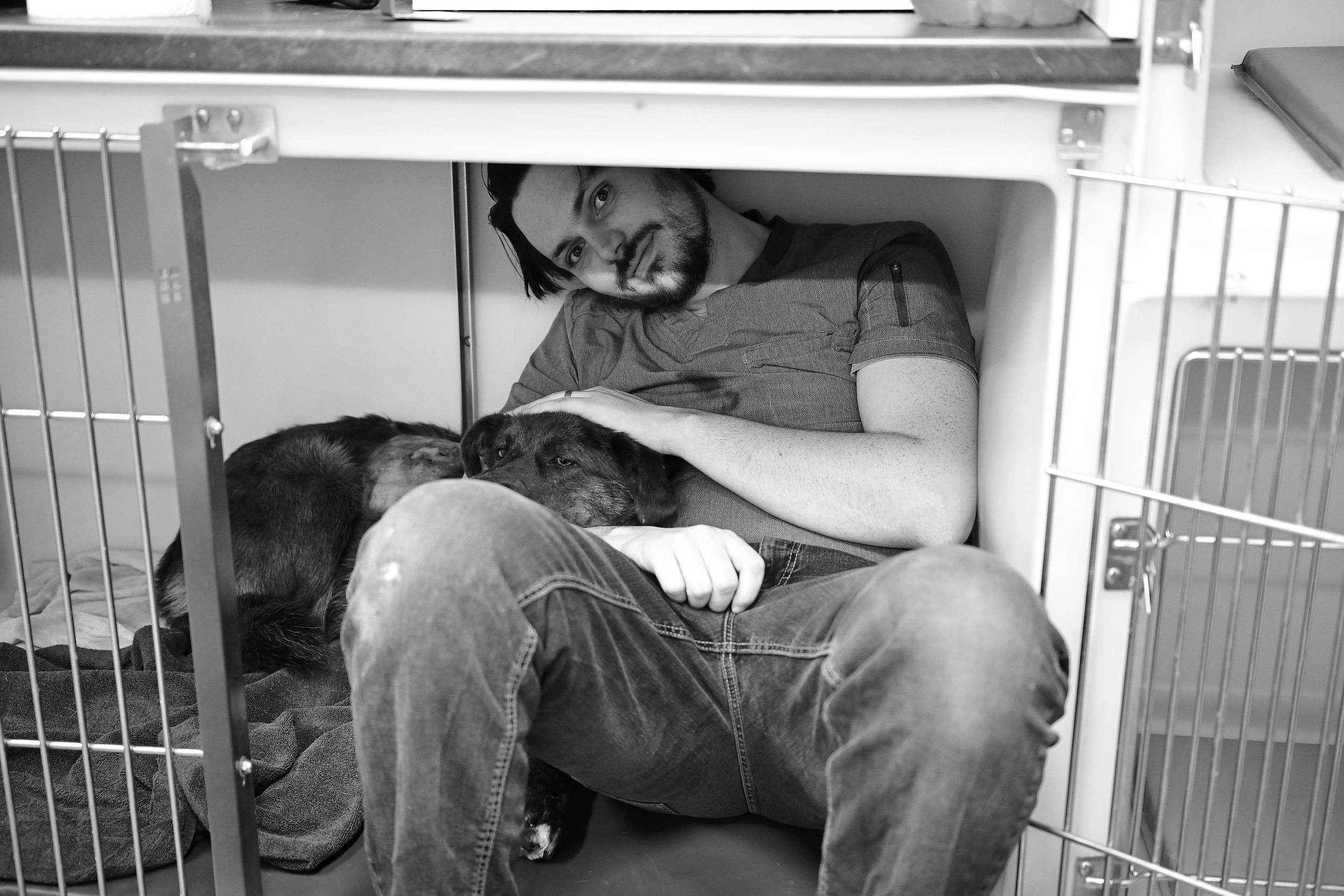 Man with dogs